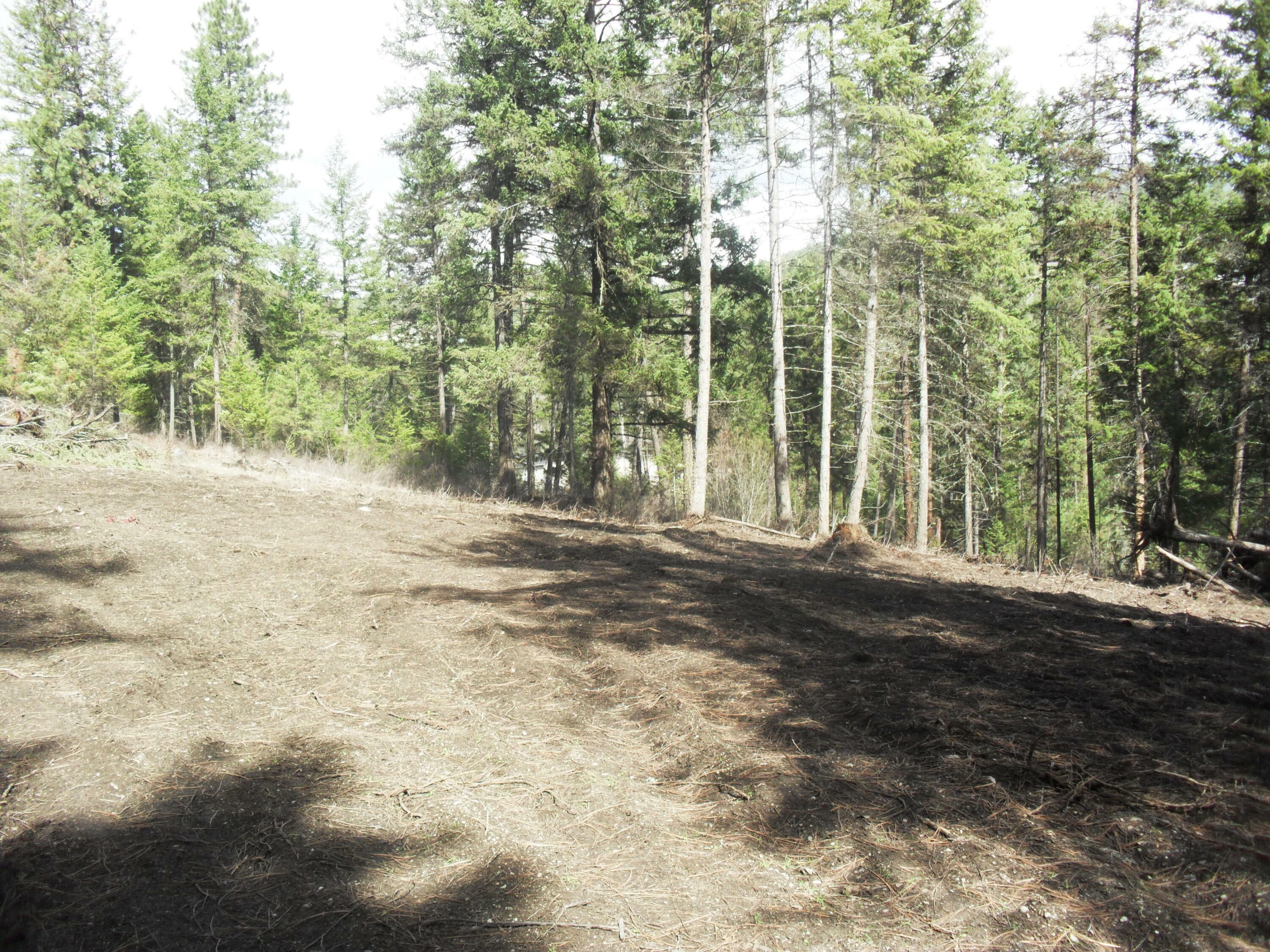 Lot 14 Crown Ridge Way  Colville WA 99114 photo