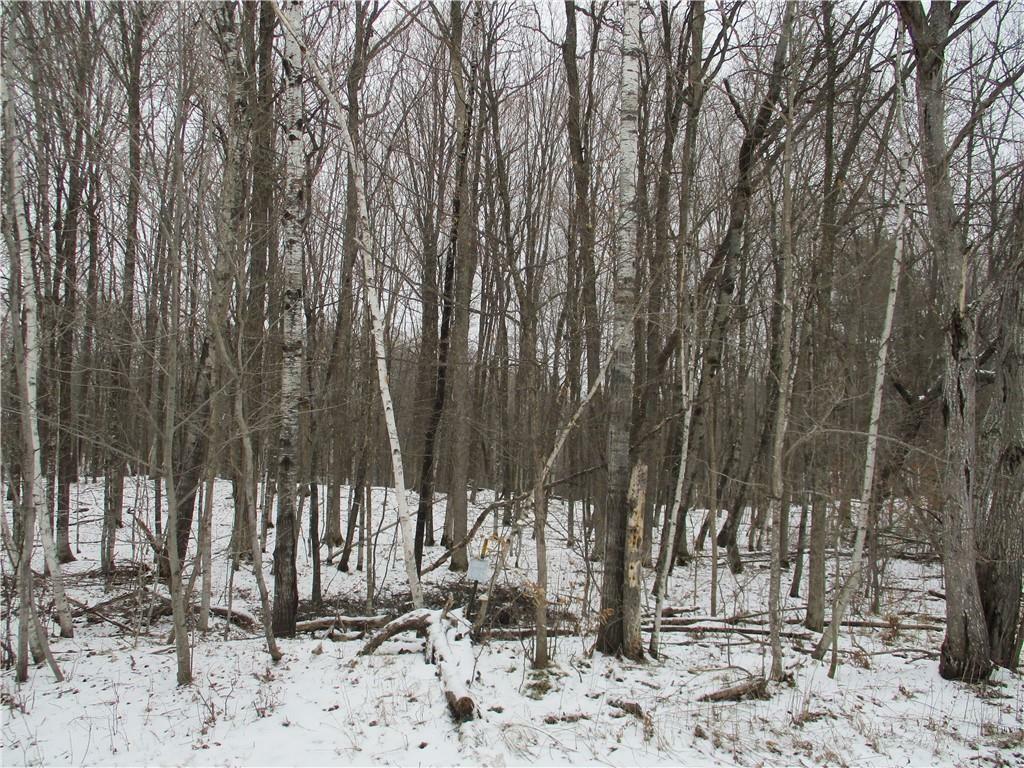 Property Photo:  Lot #25 E Lakeshore  WI 54817 