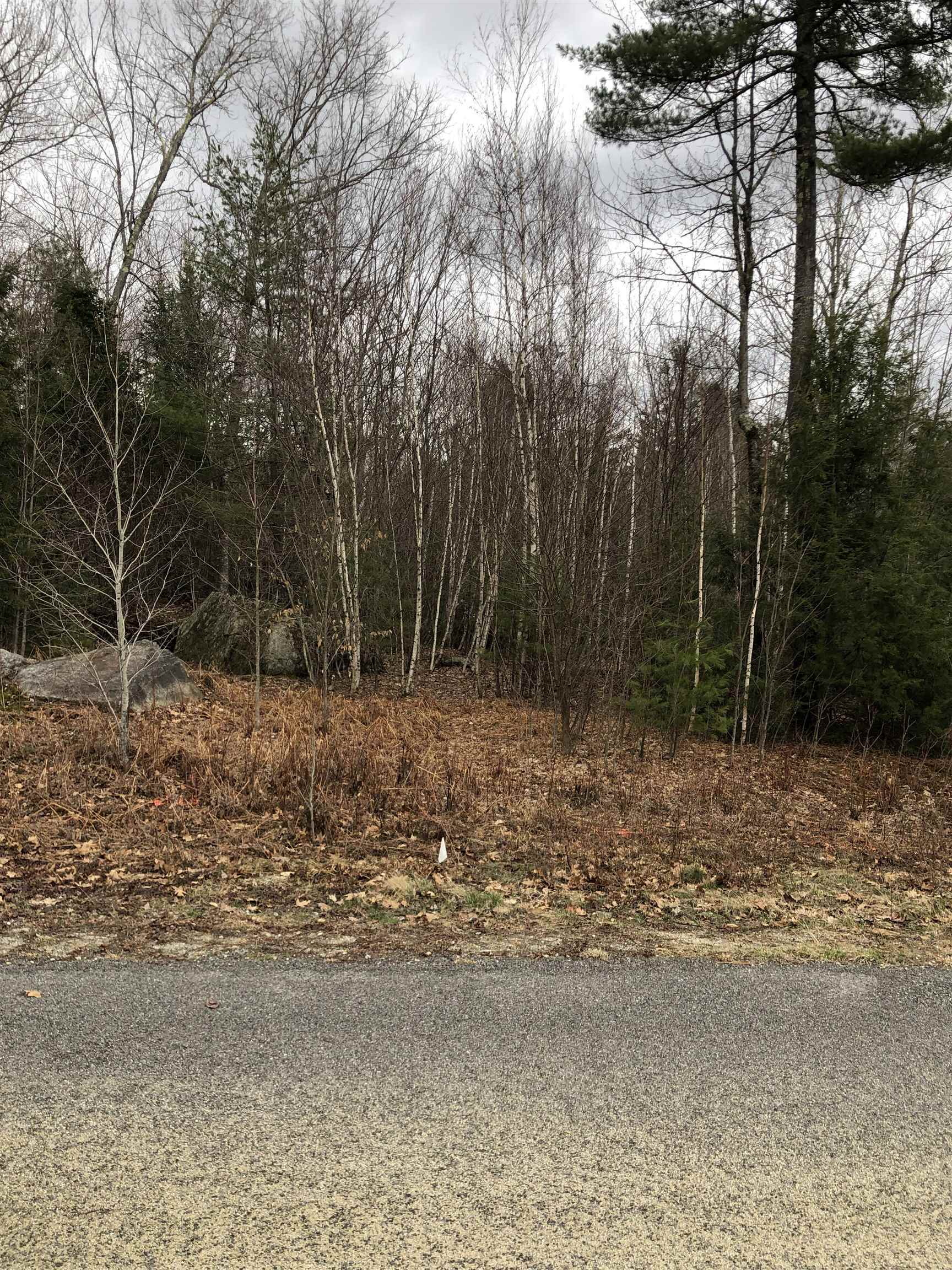 Property Photo:  19A-7 Moose Brook Lane  NH 03449 