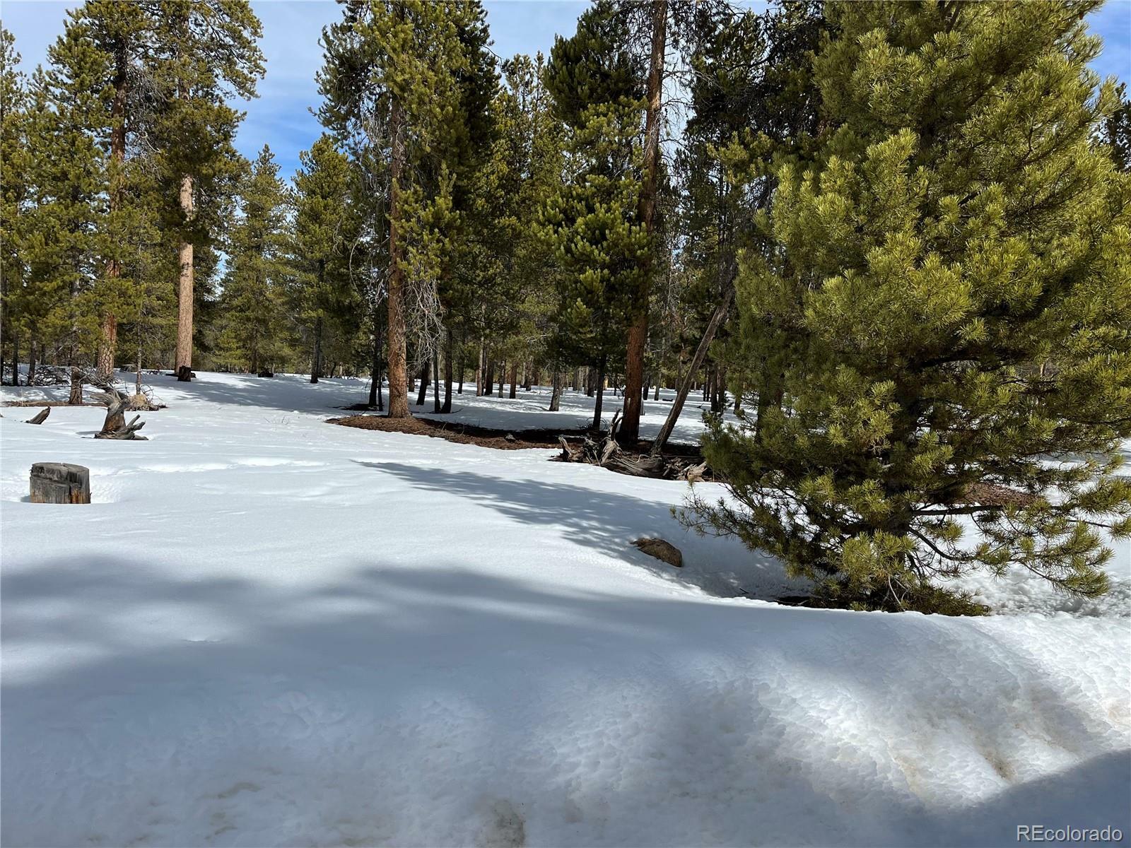Lot 137 Spruce Drive  Twin Lakes CO 81251 photo