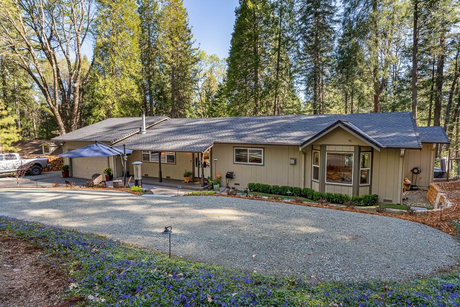 Property Photo:  12625 Red Dog Road  CA 95959 