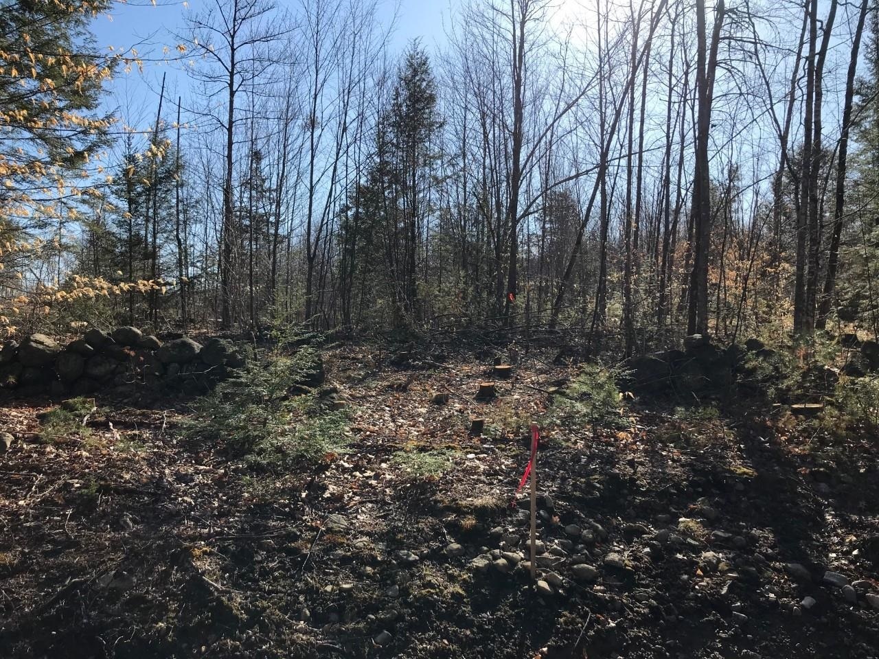 Property Photo: 00 Top Of The World Road NH 03227