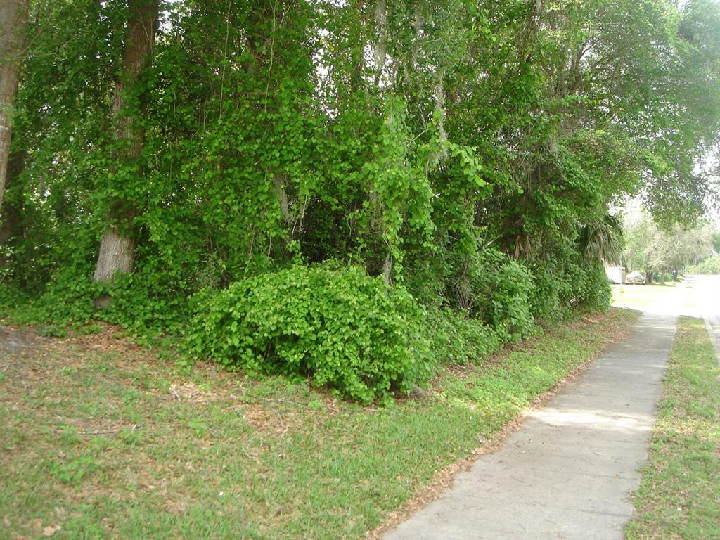 Property Photo:  173 Fort Smith Boulevard  FL 32738 