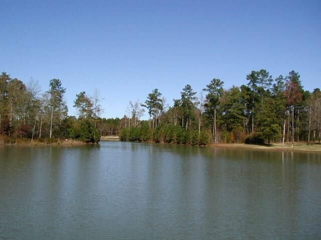 Property Photo:  Poplar Creek Dr  SC 29047 
