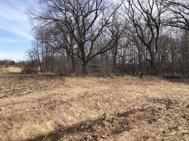 Property Photo: 0000 580th Street MN 55063