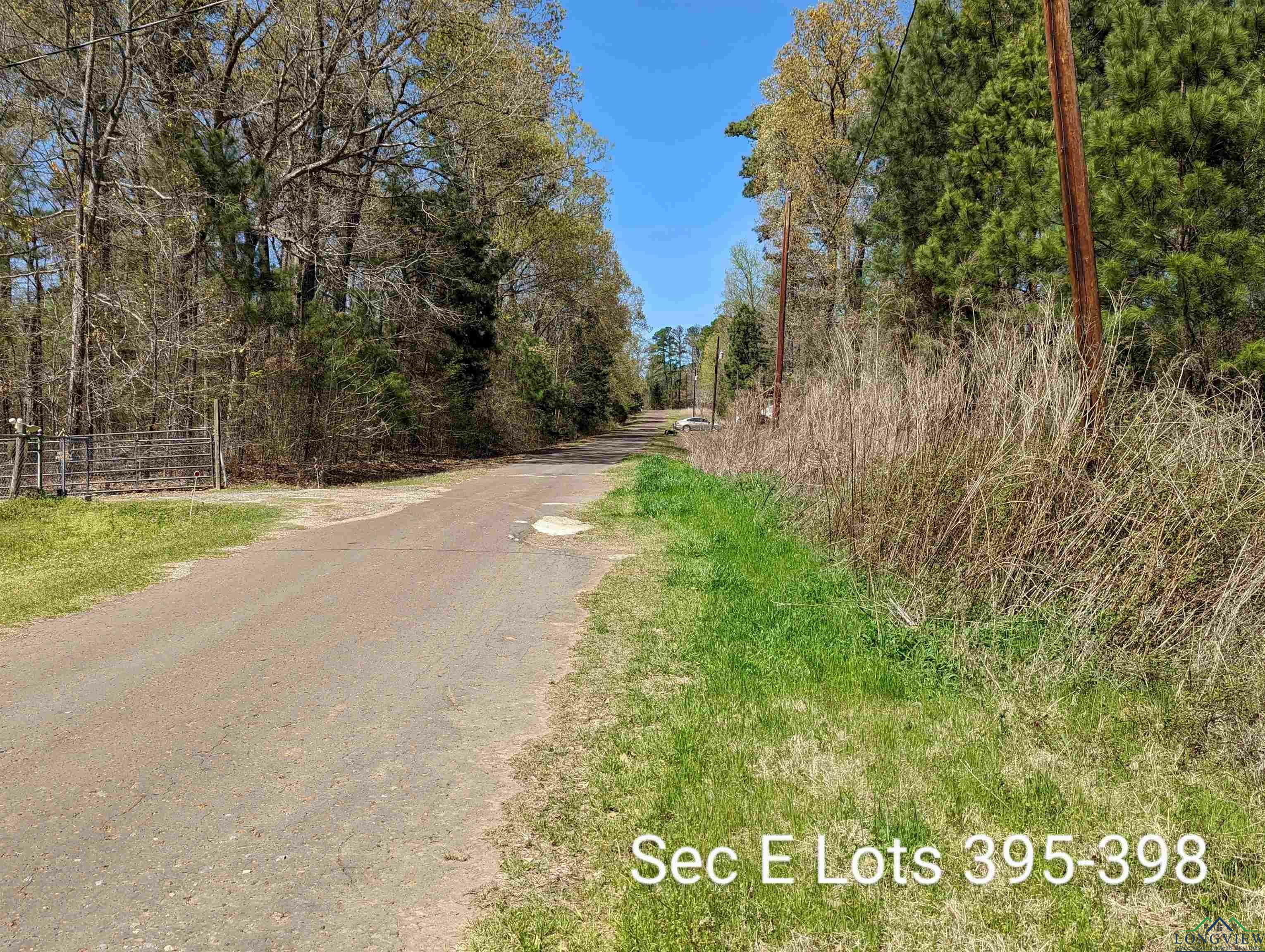 Property Photo:  Tbd Eagle Bluff Loop Ihh Sec E Lots 395-398  TX 75630 