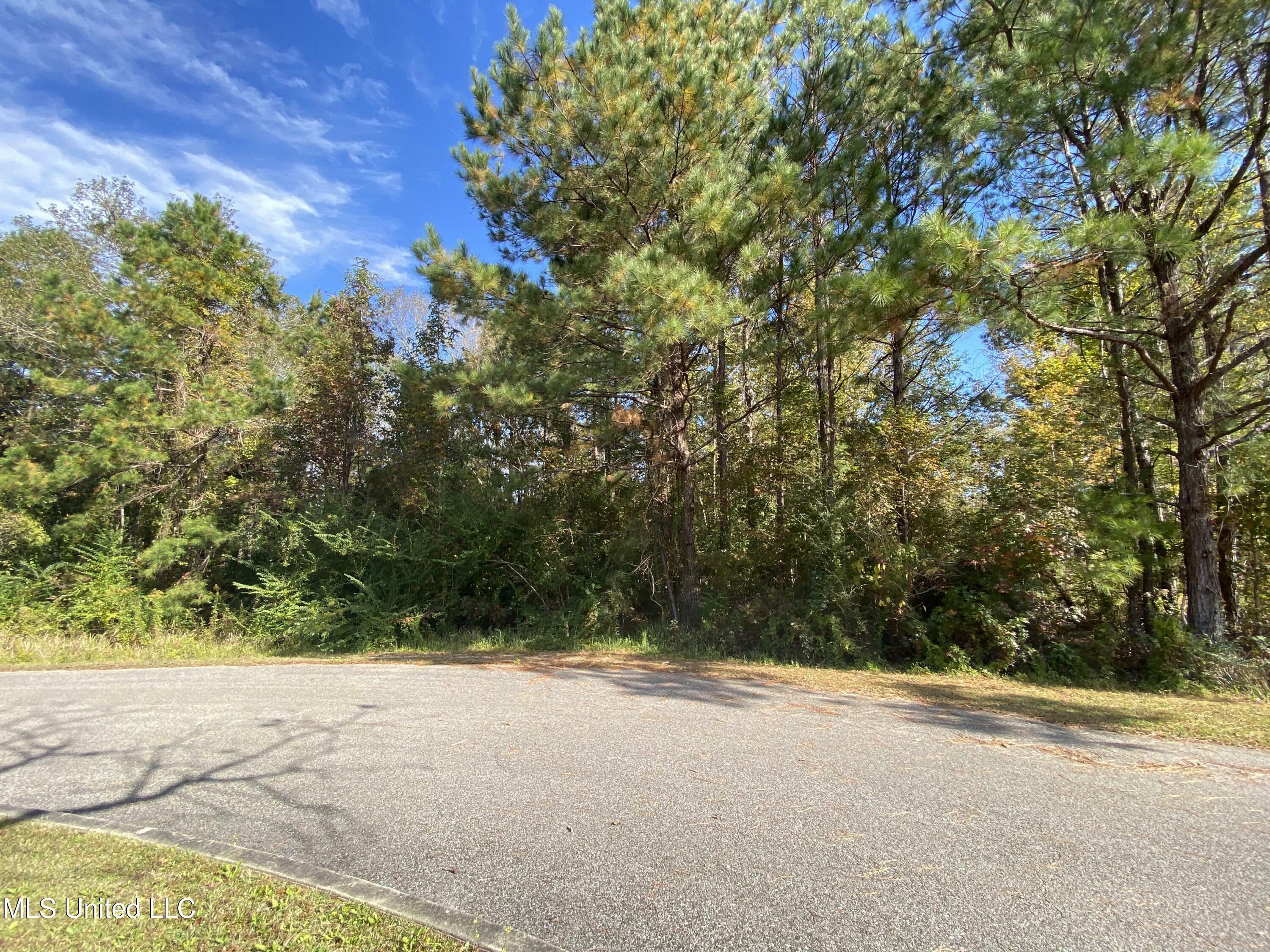 Lot 24 Hillcrest Ridge Drive  Vancleave MS 39565 photo