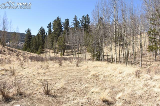 Property Photo:  212 Wolftone Drive  CO 80813 