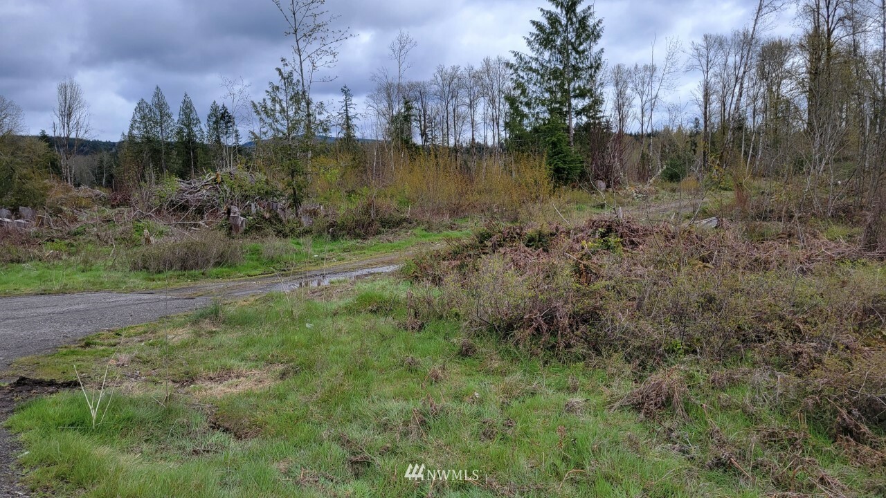 Property Photo:  0 Xxxx Spirit Lake Highway  WA 98649 