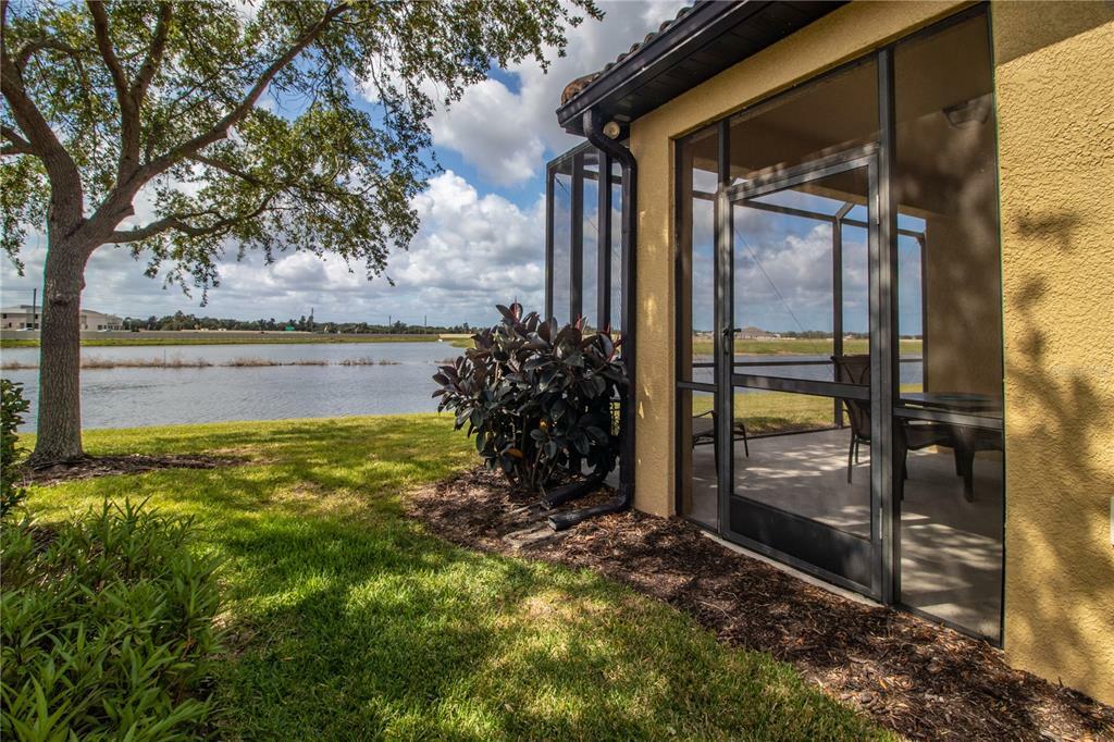 Property Photo:  232 Mystic Falls Drive  FL 33572 