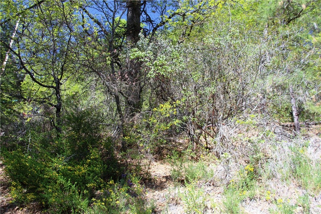 Property Photo: 12470 Maple Lane CA 95461