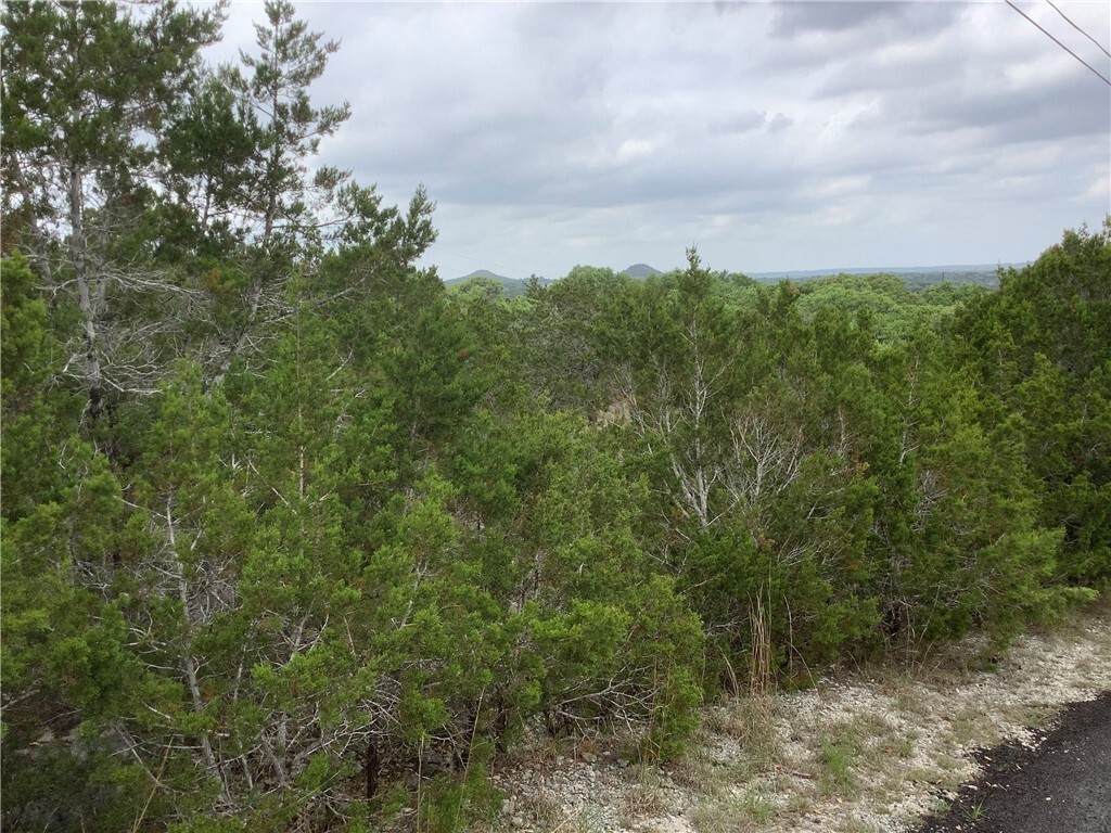 Property Photo: 105 Monte Vista Circle TX 78676