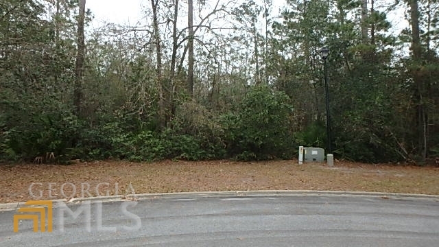 Property Photo:  V/L 82 Heron Point Lane  GA 31569 