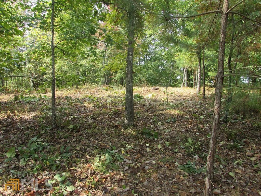 Property Photo:  Lts 107-8 Harris Creek Drive  GA 30540 