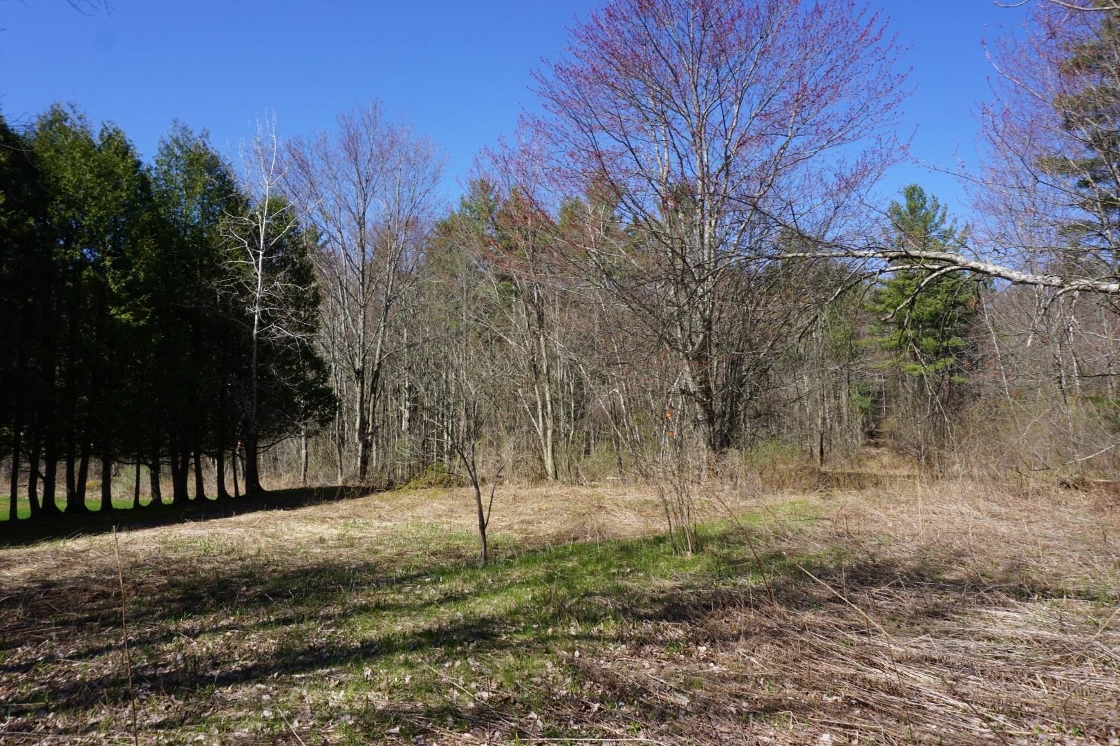 Property Photo:  200 Towers Road  VT 05452 