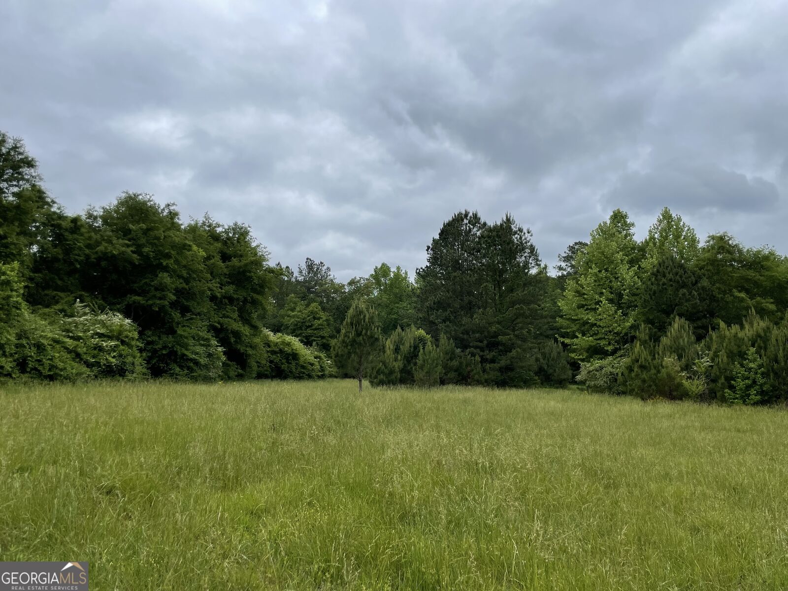 Property Photo:  216 McMichen Road  GA 30157 
