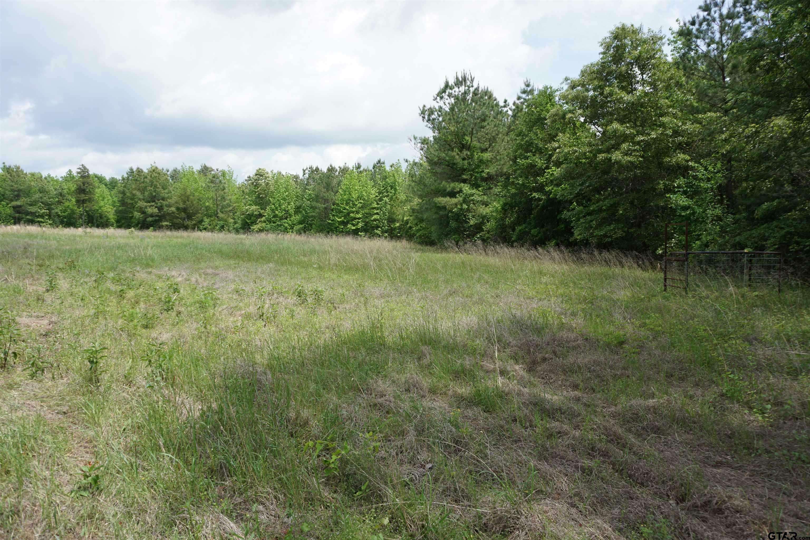 Property Photo:  Tbd Fm 3056  TX 75765 