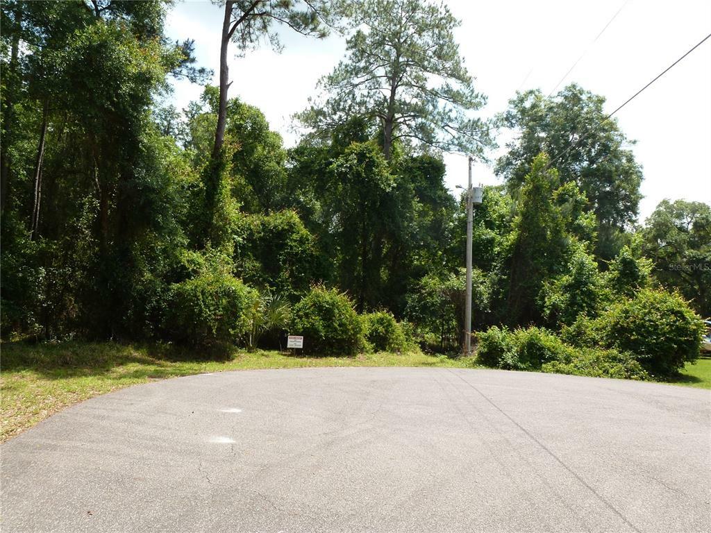 Property Photo:  21324 NE 113th Avenue  FL 32694 