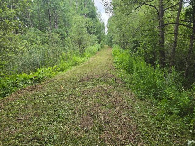 1 Off Church Street  Tupper Lake NY 12986 photo