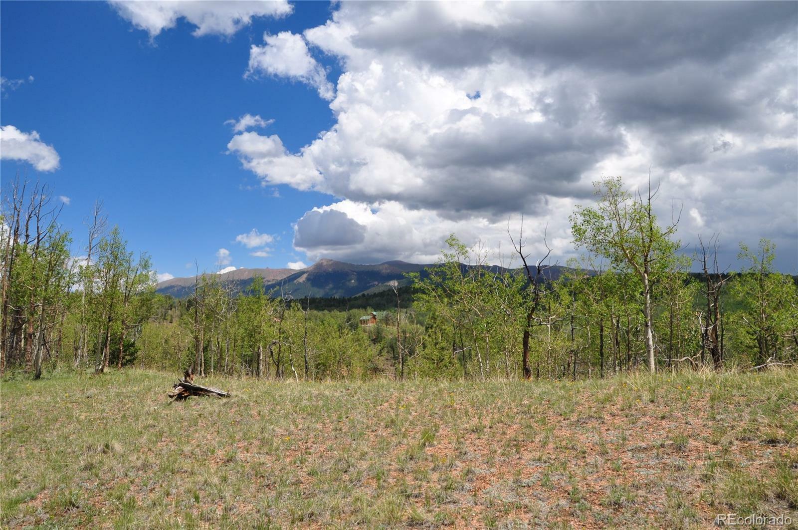 Property Photo:  111 Golden Cycle Court  CO 80813 