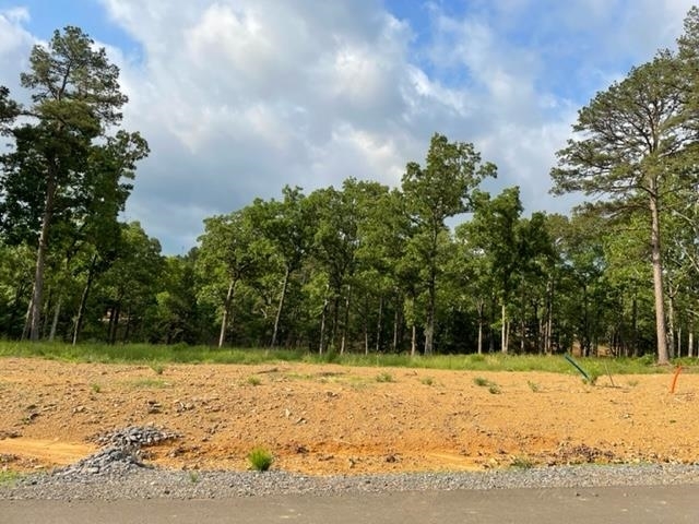 Property Photo:  Orchard Hill Lot 18 Ph 3  AR 72034 