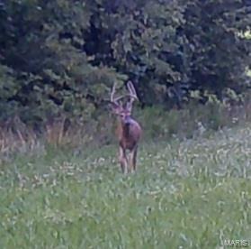 Property Photo:  24285 Low Gap Rd.  MO 63383 