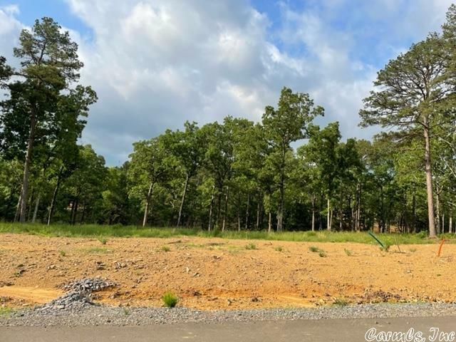 Lot 10 Orchard Hill Ph. 2  Conway AR 72034 photo