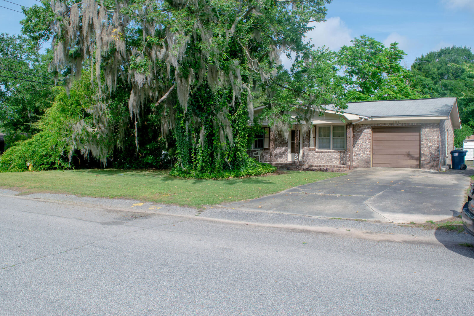 Property Photo: 101 Blackwell Avenue SC 29485