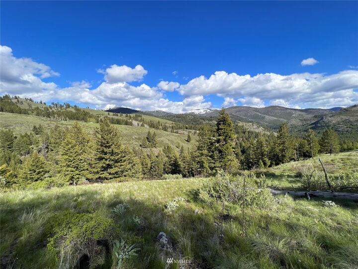 Property Photo:  0 Lot 34 Wildman Road  WA 99166 