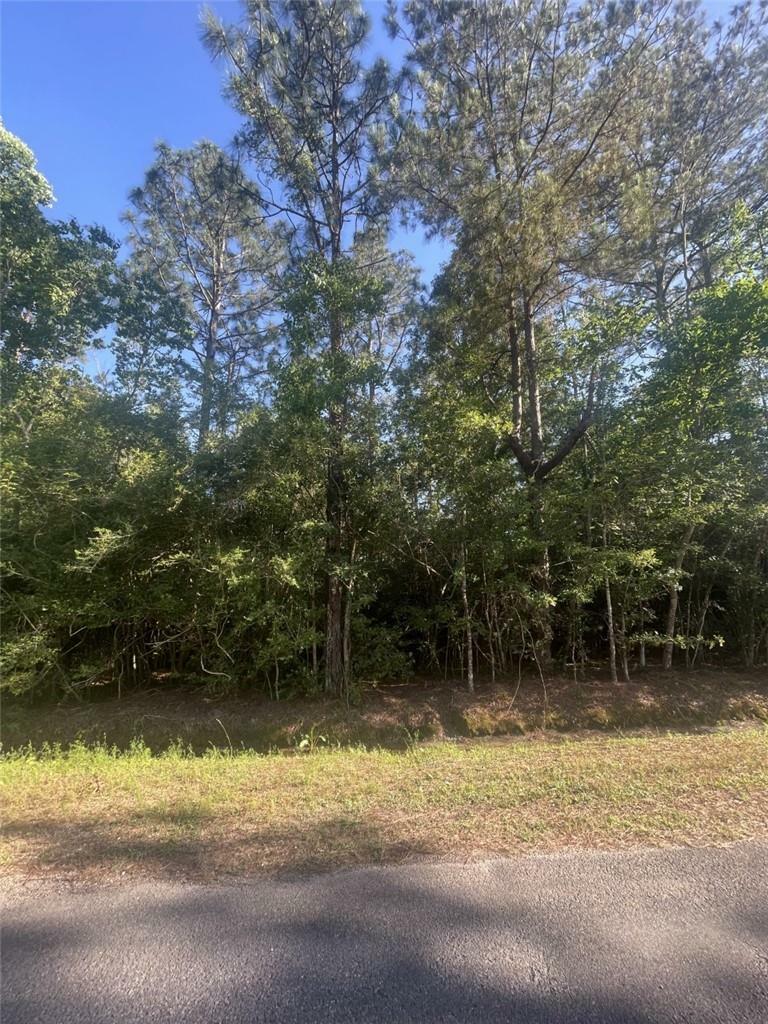 Property Photo: Pine Lane LA 70657