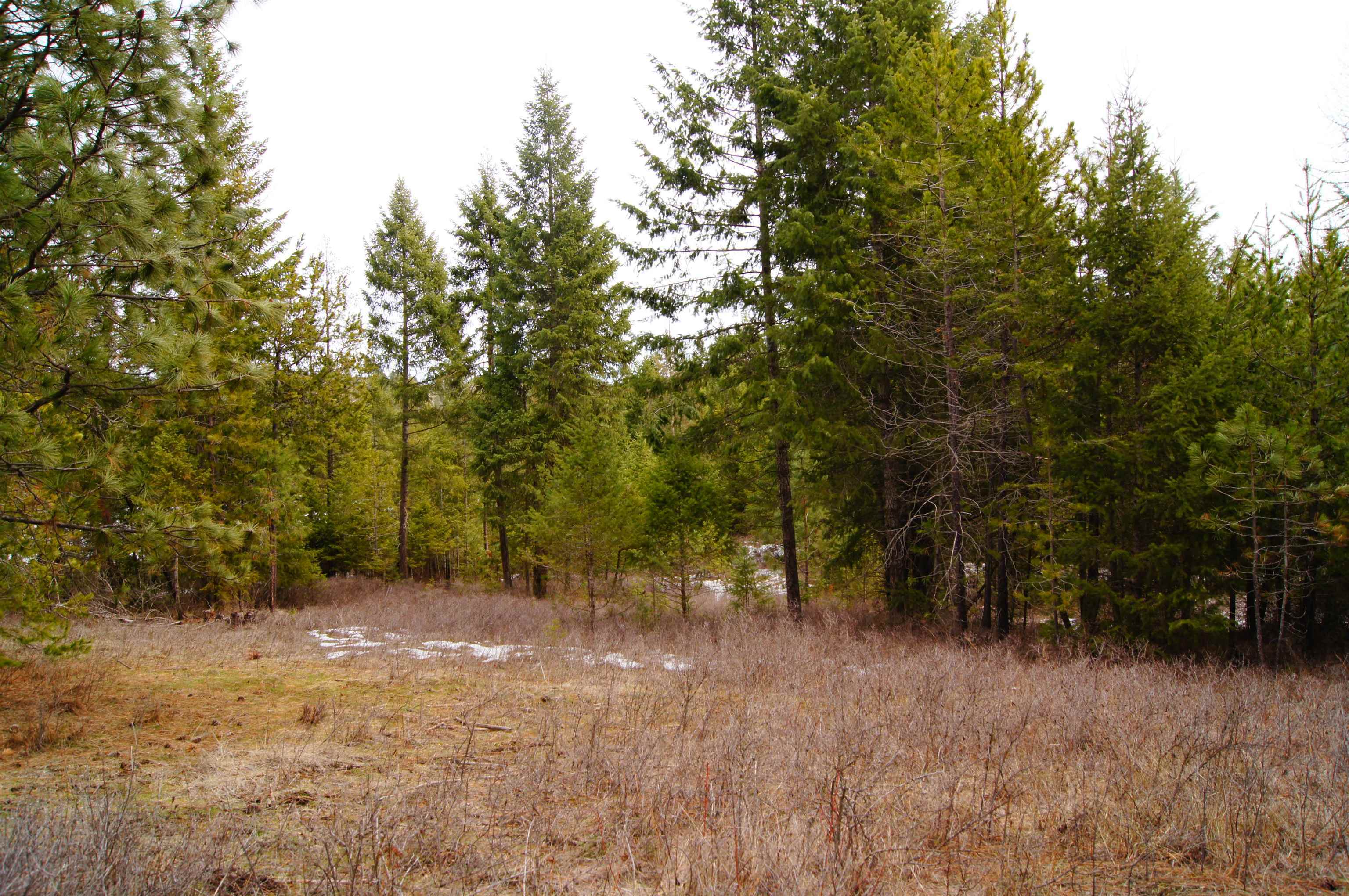 Property Photo:  Nka Cemetery  WA 99173 