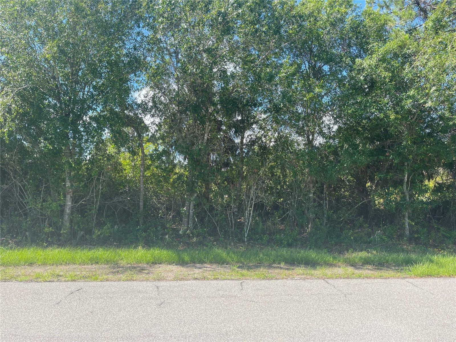 Property Photo:  12077 Wellington Avenue  FL 33981 