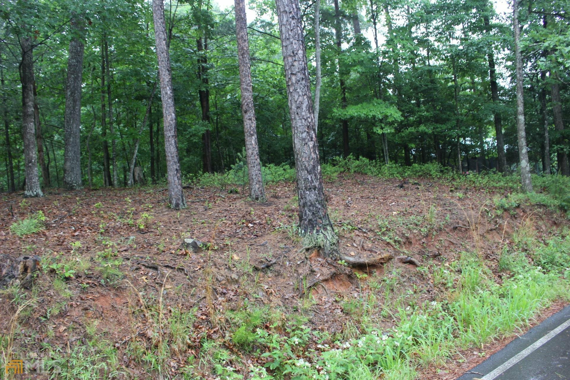 Property Photo:  Lt 847 Matrix Lane  GA 30540 