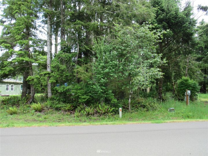 736 Chenois Avenue NE  Ocean Shores WA 98569 photo