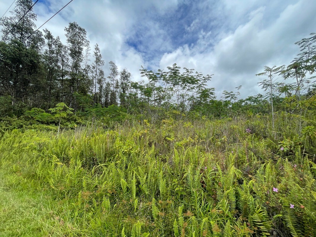 Property Photo:  Shell Rd  HI 96778 