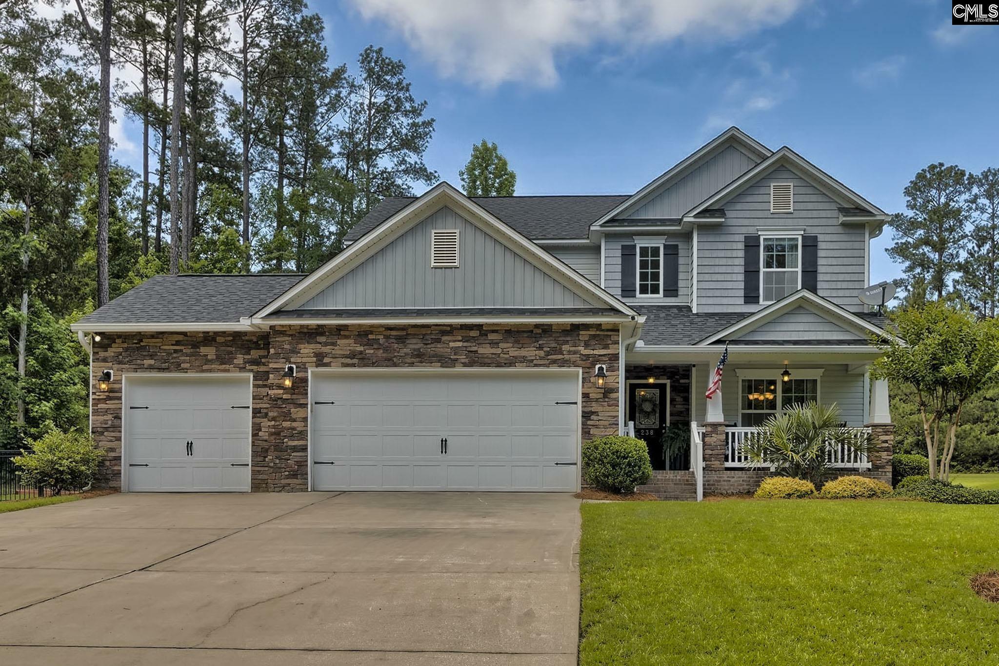 238 Woolbright  Chapin SC 29036 photo