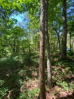 Property Photo: 1493 Derby Court NE GA 30734