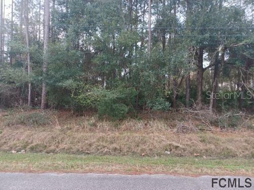 Property Photo:  7 Zenoble Place  FL 32164 