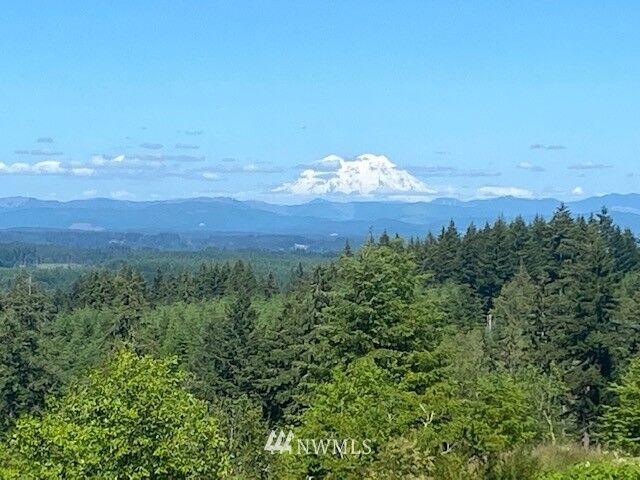 Property Photo: 329 Frogner Road WA 98532