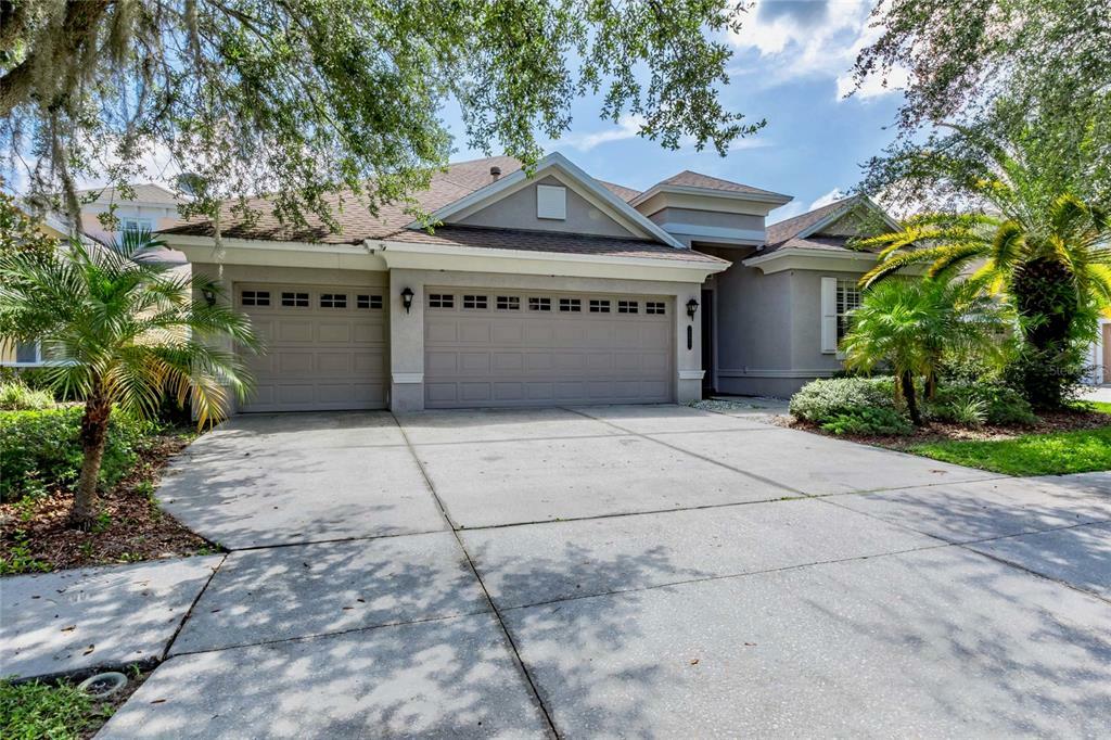 Property Photo:  20423 Walnut Grove Lane  FL 33647 