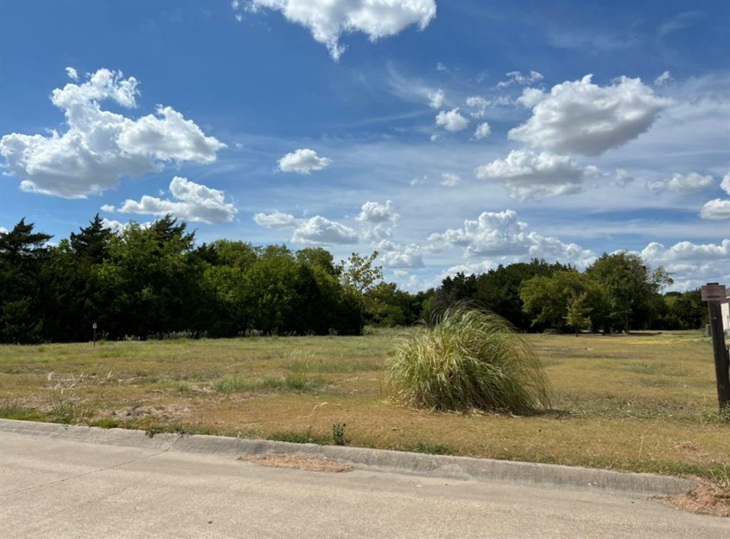 Property Photo:  1525 Raintree Drive  TX 75146 