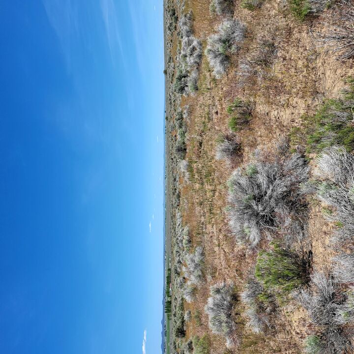 2600 Summer Street  Christmas Valley OR 97641 photo