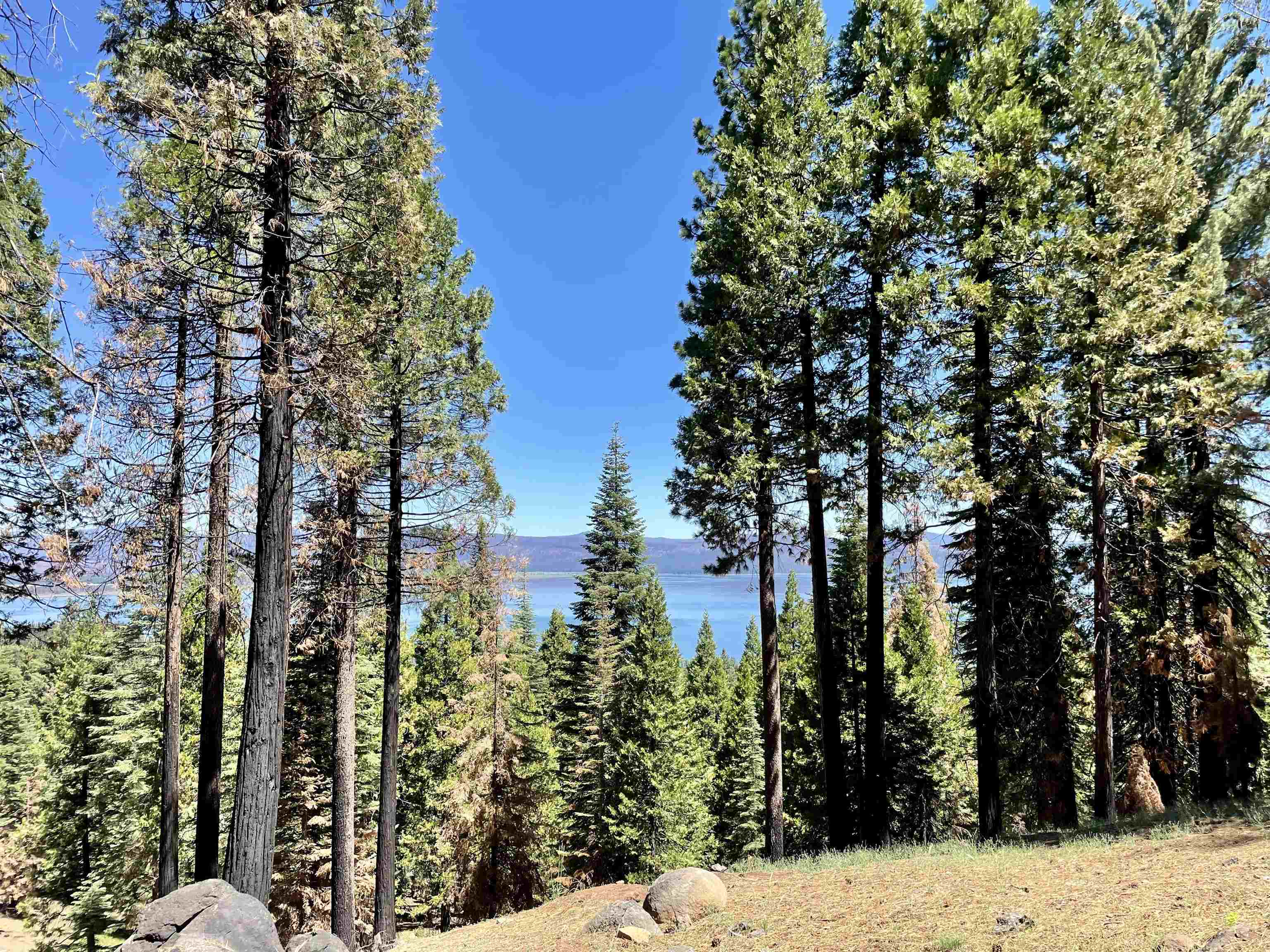 Property Photo: 513 Eagle Crest Drive CA 96020
