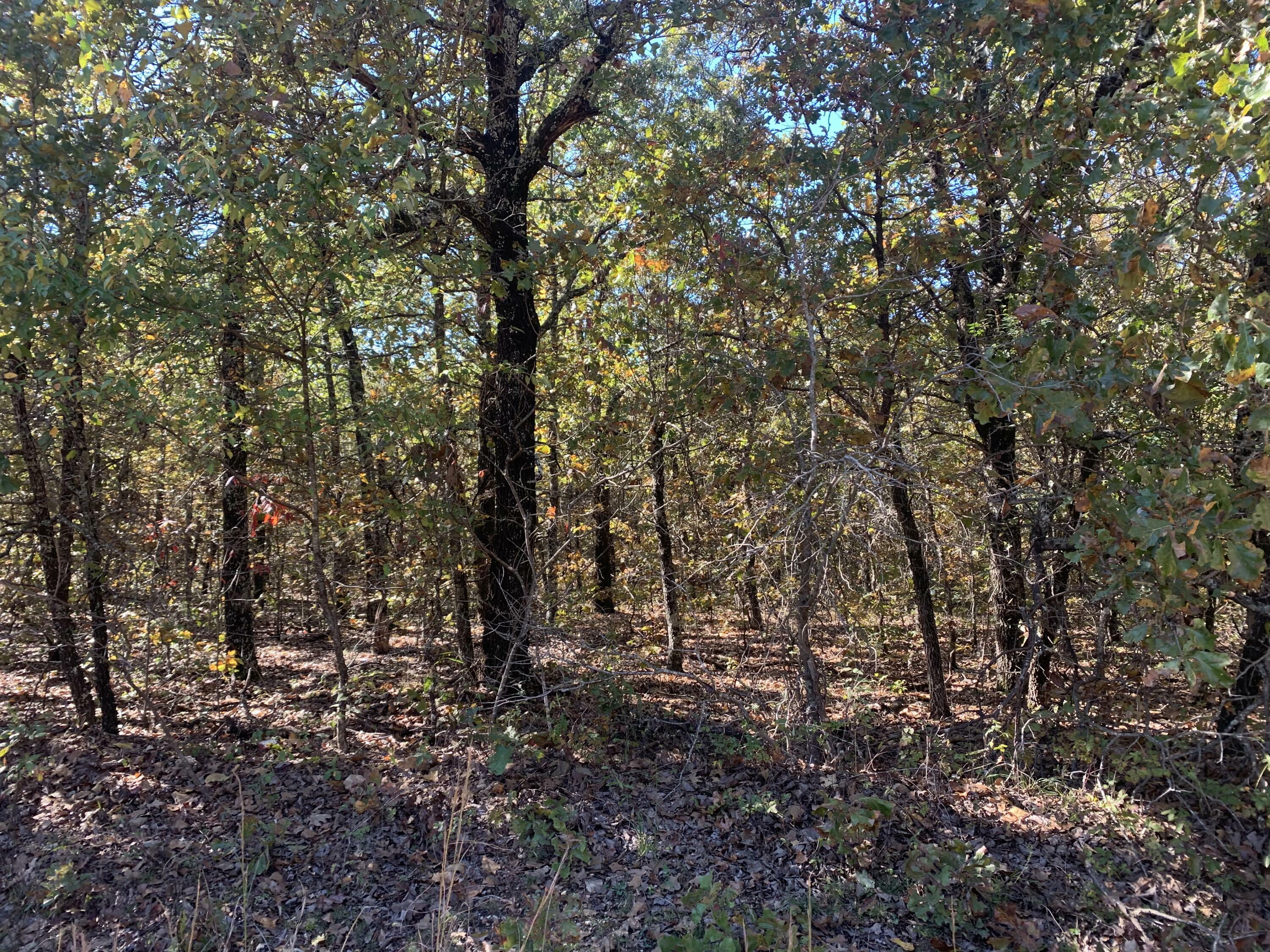 Property Photo:  000 Nubbin Ridge Road  AR 72459 