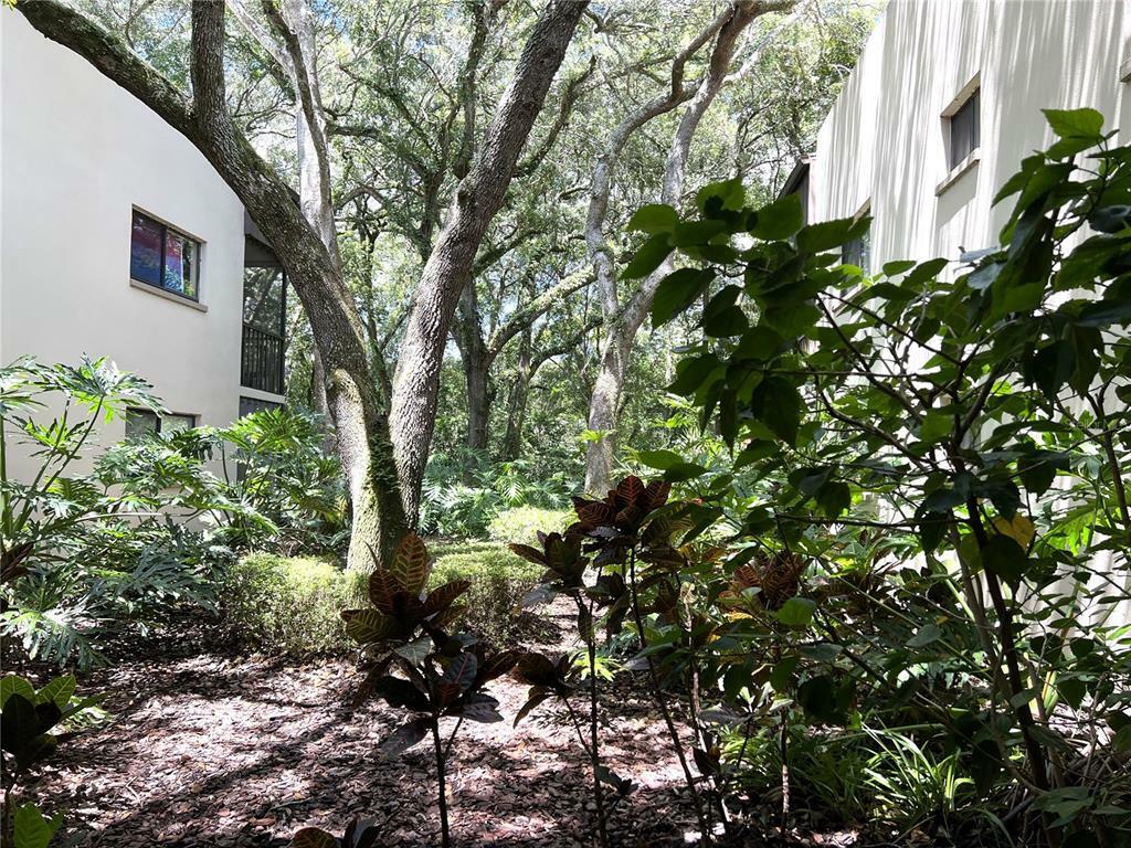 Property Photo:  11708 Raintree Village Boulevard A  FL 33617 