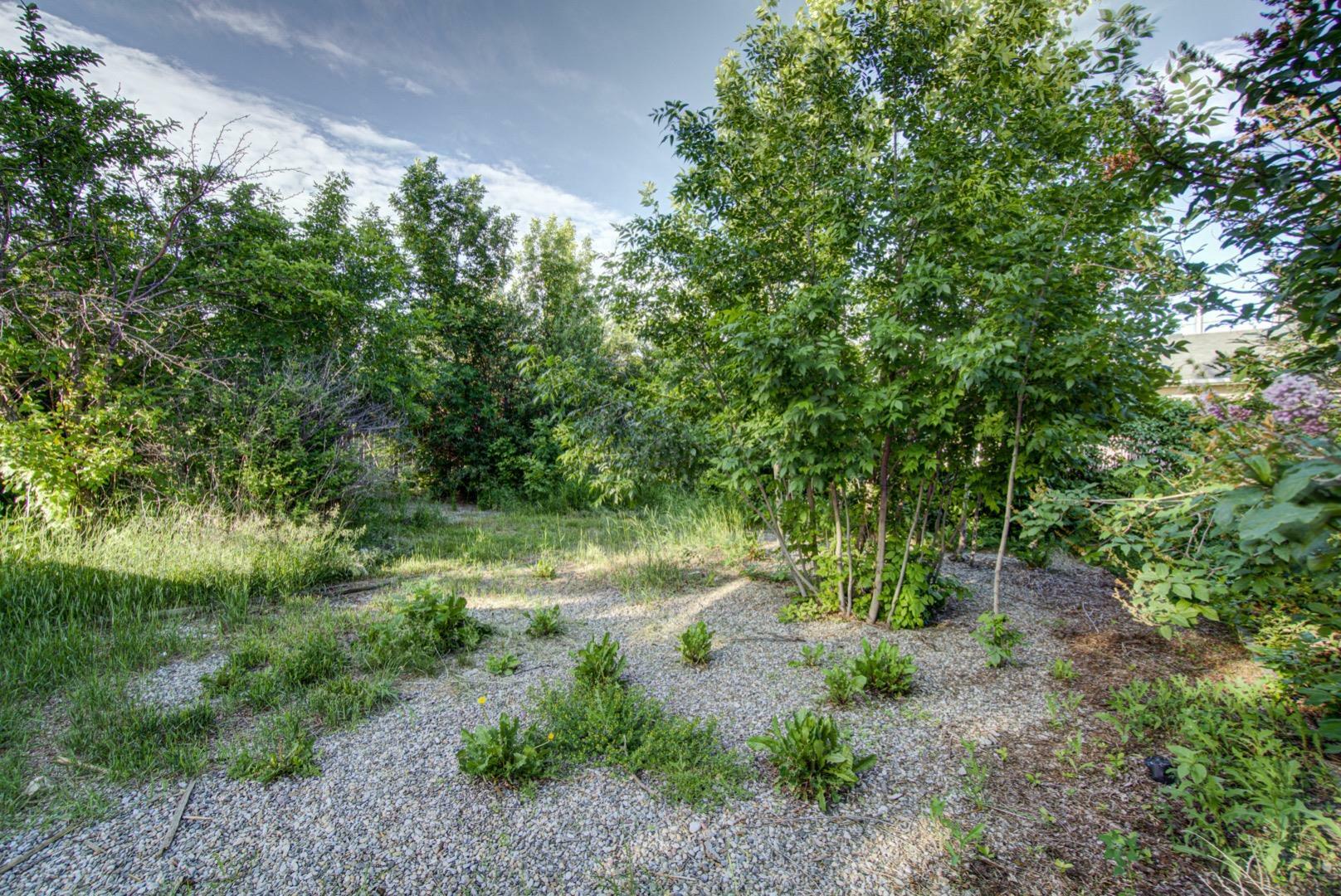 Property Photo: 317 Dufferin Street AB T0L 1A0