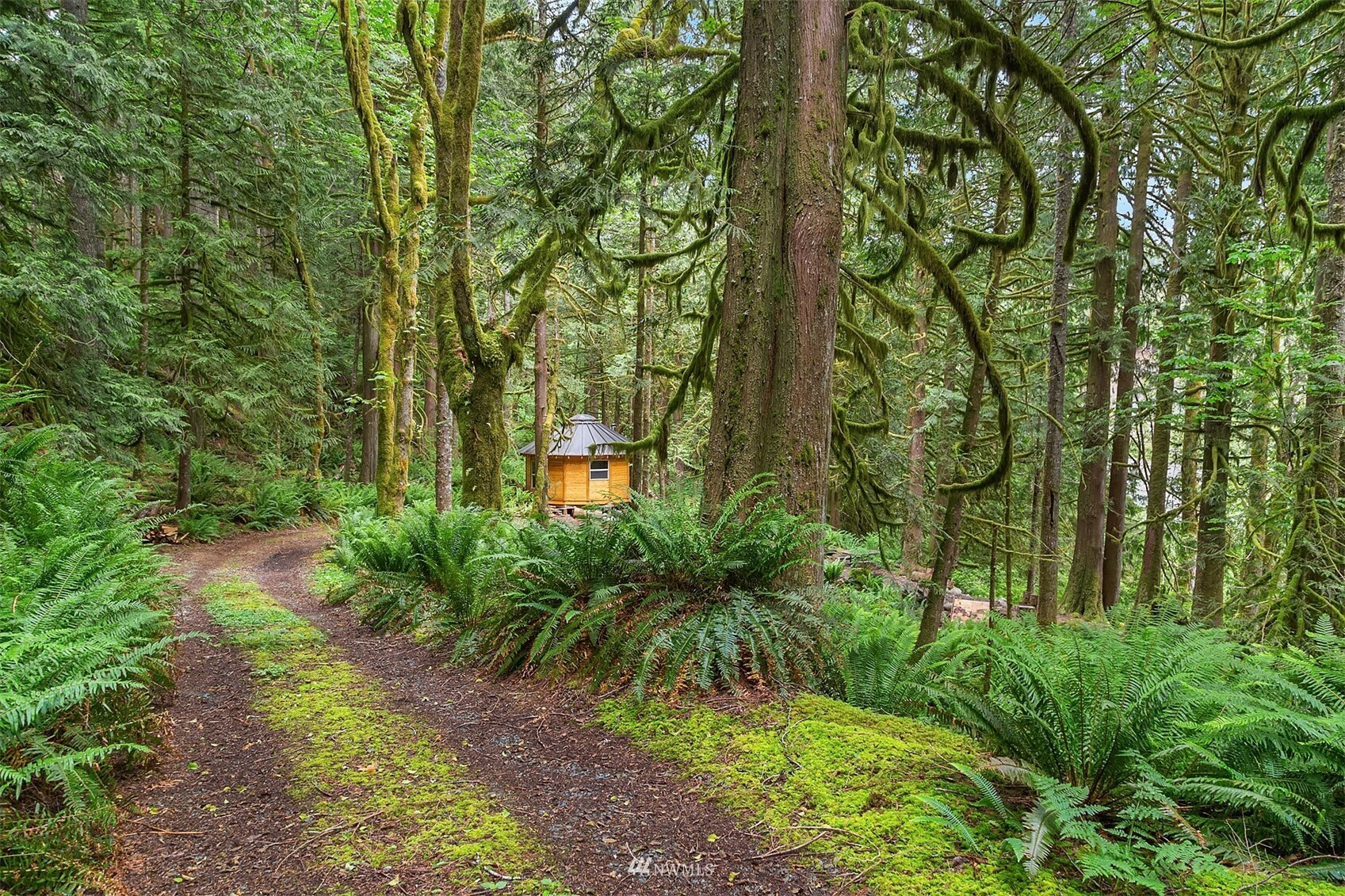 Property Photo:  0 Benson Creek Road  WA 98252 