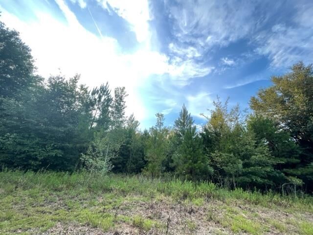 Property Photo: 000 Hawkins Road FL 32344