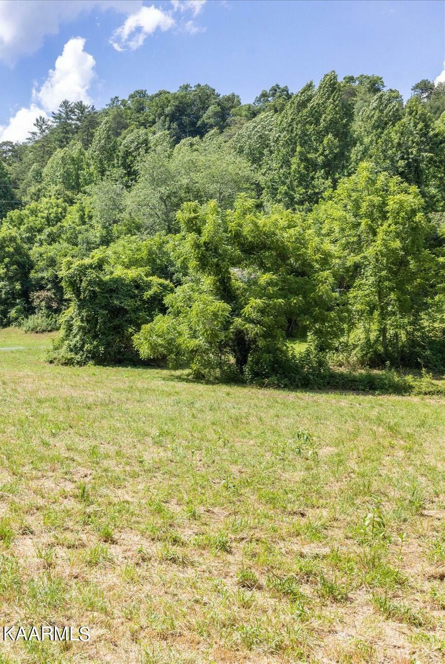 Property Photo:  Henry Town Road Lot 2  TN 37876 