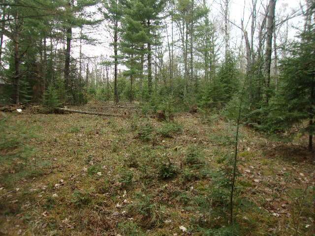 Property Photo:  Lot 16 Flowageview Dr  WI 54547 